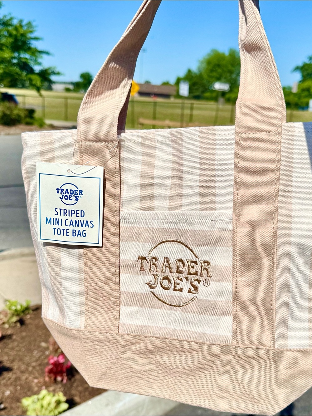 Trader Joe’s - Striped Mini Canvas Tote Bag (Desert Sand Beige)